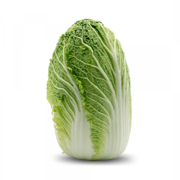 chinese-cabbage-kampung-cameron