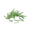 Rosemary (100g)