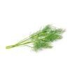 Dill (100g)