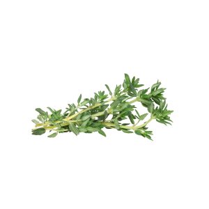 Thyme (100g)