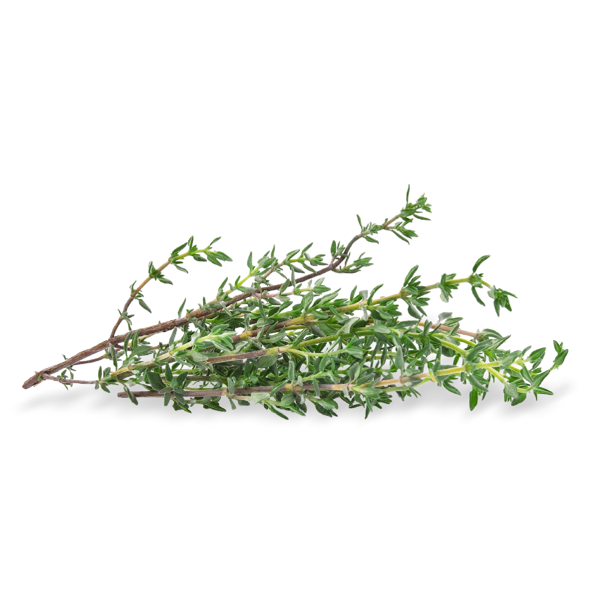 Thyme (100g) - Image 2