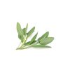 Sage (100g)