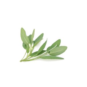 Sage (100g)