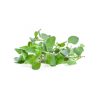 Oregano (100g)