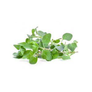 Oregano (100g)
