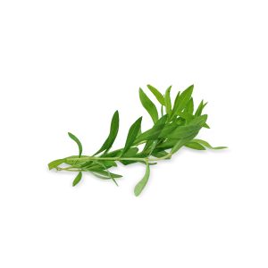 Tarragon (100g)