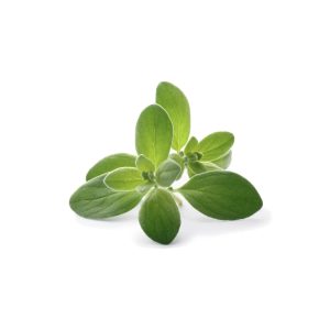 Marjoram (100g)