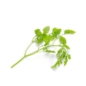 Chervil (100g)