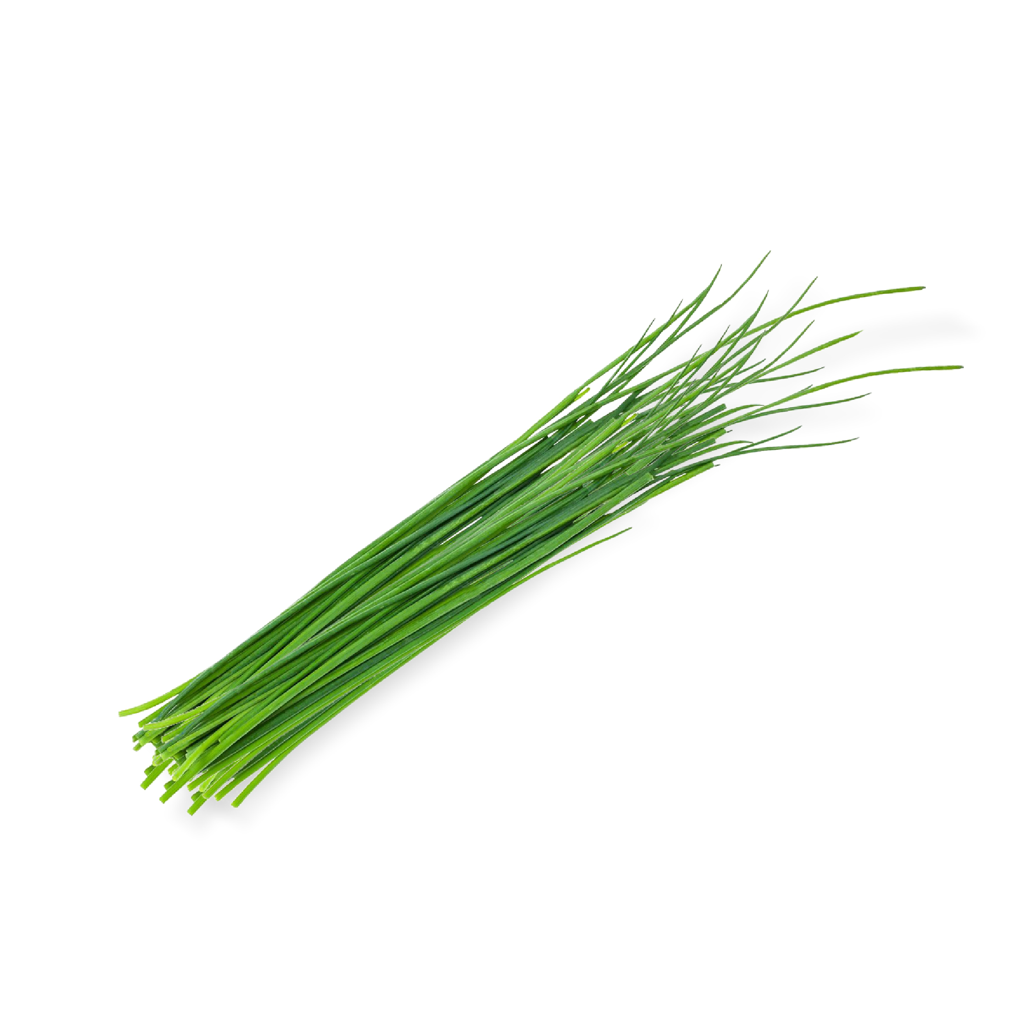 Chives (100g) - Image 2