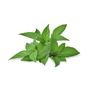 Thai Basil (100g)